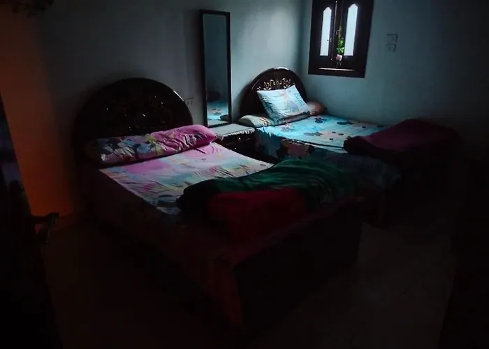 Cozy Private Apartment