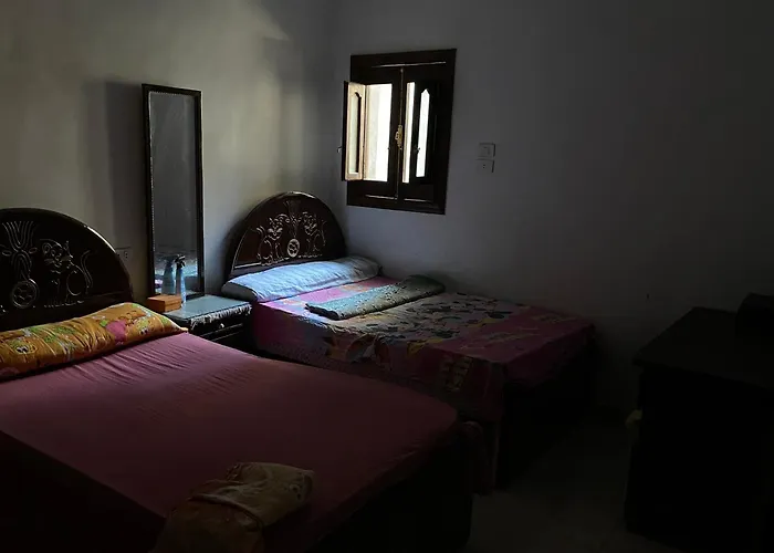 Cozy Private Apartment